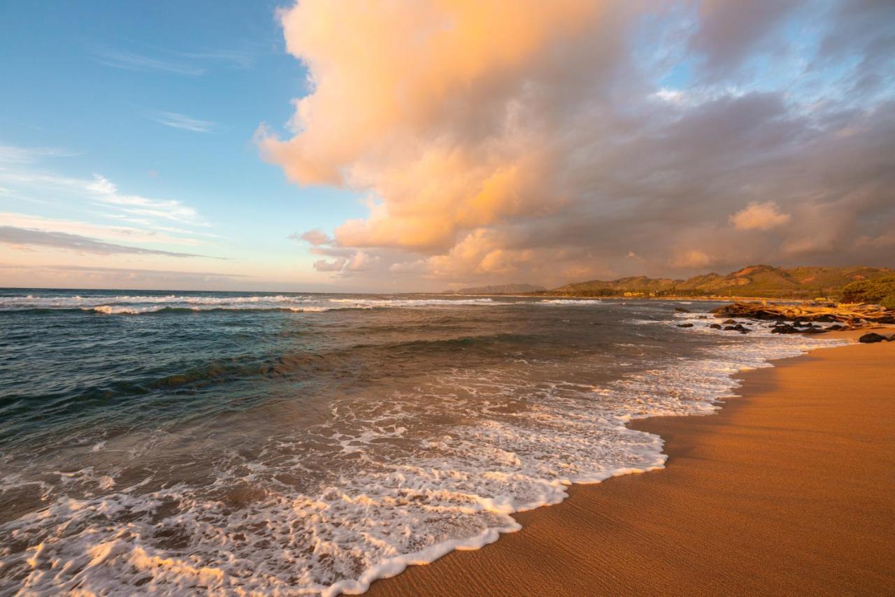 Kauai Shores Hotel Kapa'a Dış mekan fotoğraf